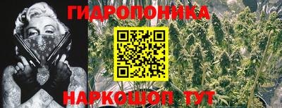 герыч Пенза
