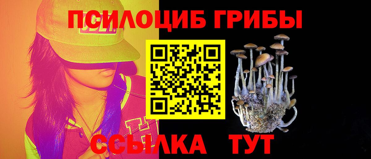 Сосновоборск  Псилоцибиновые грибы MAGIC MUSHROOMS  Вход с VPN 